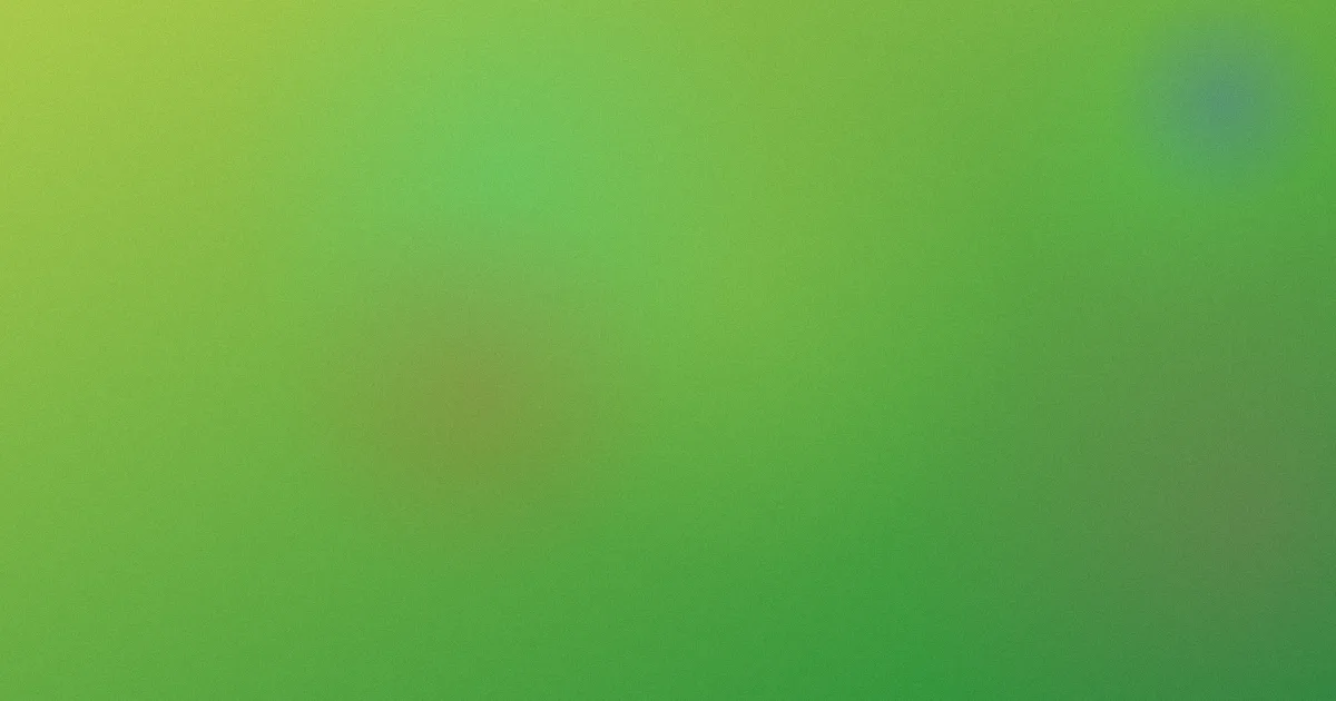 窝窝怎么用：我的实测心得
